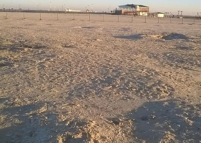 Kornew Og Daire Dornum